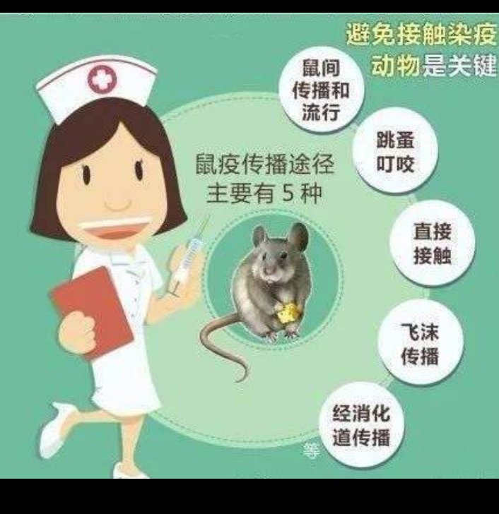 云南勐海发现1例疑似腺鼠疫病例，这种病毒会传染吗？