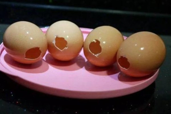 写话 看图,想一想:小虫子、蚂蚁和蝴蝶用鸡蛋壳做了 哪些事情300字?