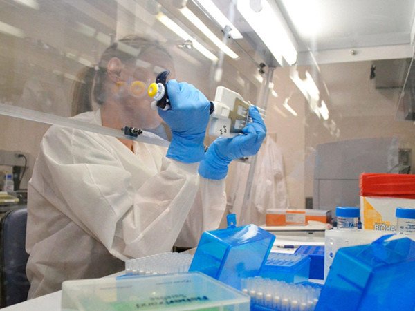 深圳一公司在多地招募粪便捐赠者，对捐赠者有何要求？