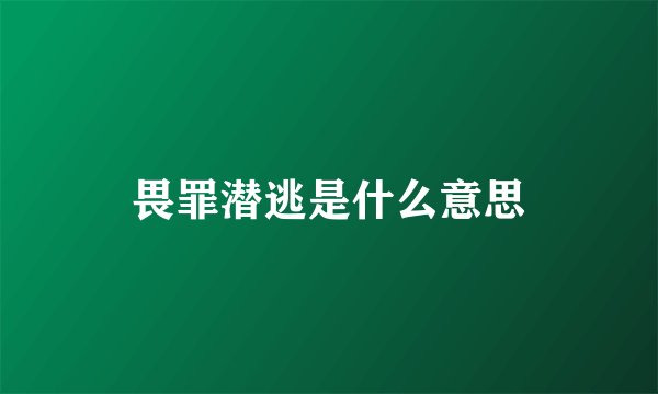 畏罪潜逃是什么意思