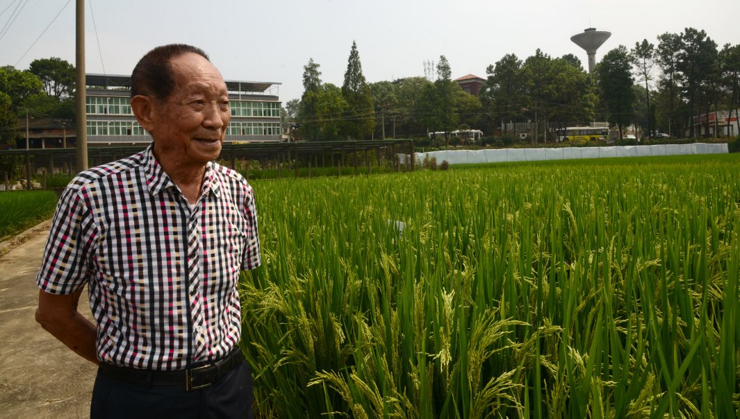 袁隆平院士逝世享年91岁,网友呼吁降半旗,你对此怎么看呢?