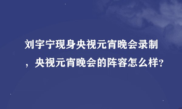 刘宇宁现身央视元宵晚会录制，央视元宵晚会的阵容怎么样？