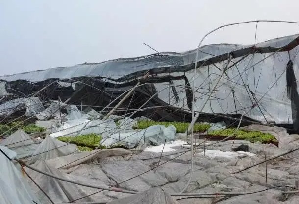 东北暴雪来了，局地可超过10厘米，极端天气会对当地造成哪些影响？