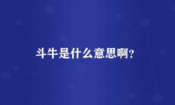 斗牛是什么意思啊？