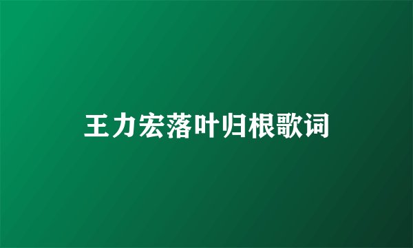 王力宏落叶归根歌词
