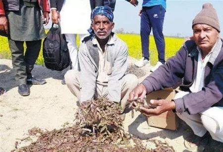 50年来最严重粮食危机要来了,哪国将第一个遭殃?