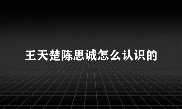 王天楚陈思诚怎么认识的