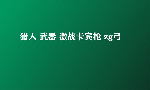 猎人 武器 激战卡宾枪 zg弓