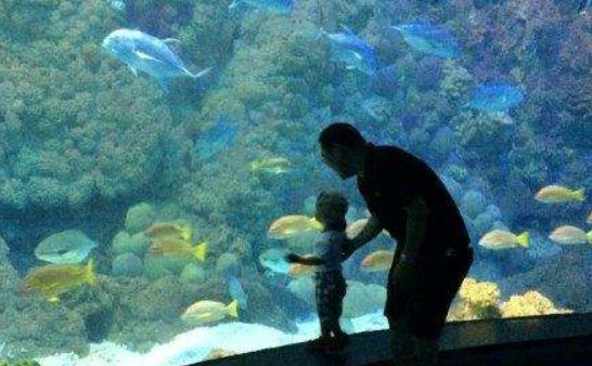 鲨鱼馆死亡事故,具体是什么情况?