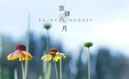 八月底指的是哪几天