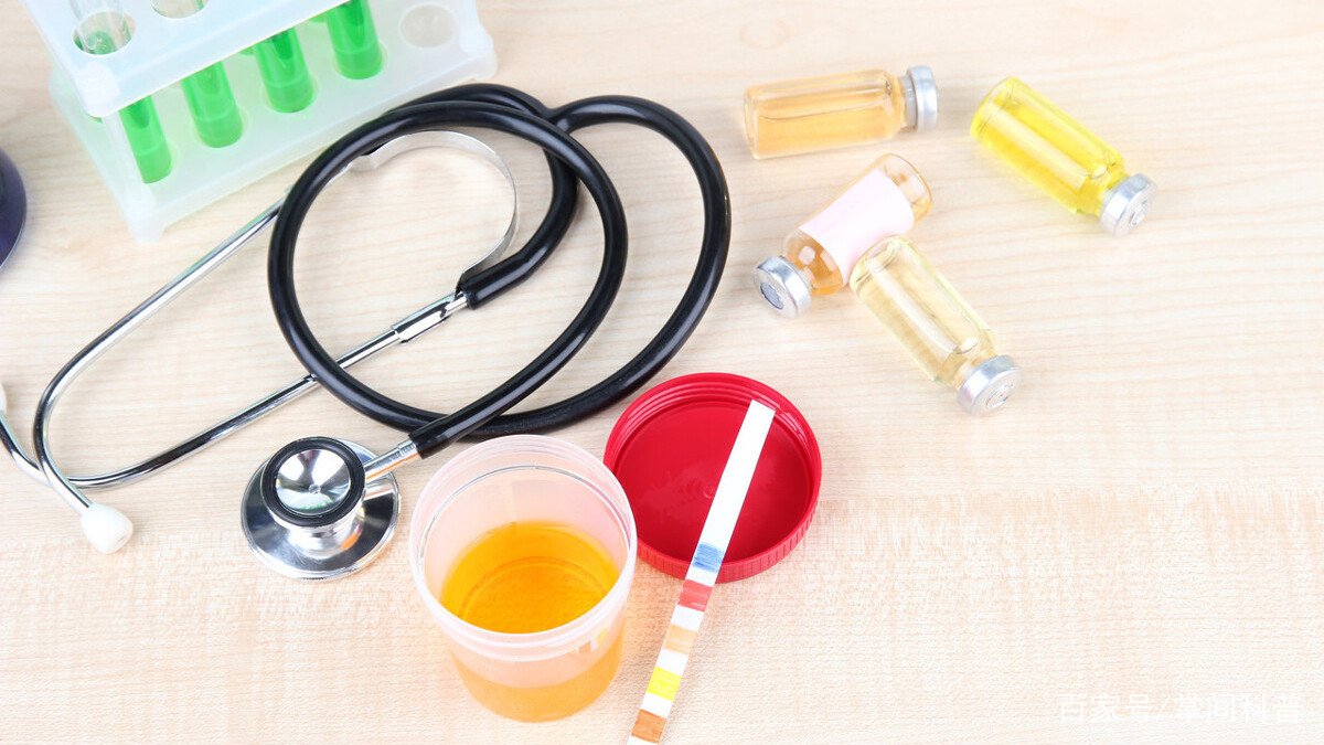 尿蛋白偏高怎么回事?如何治疗?