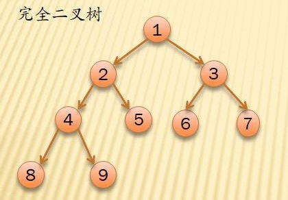完全二叉树与满二叉树的区别是什么？