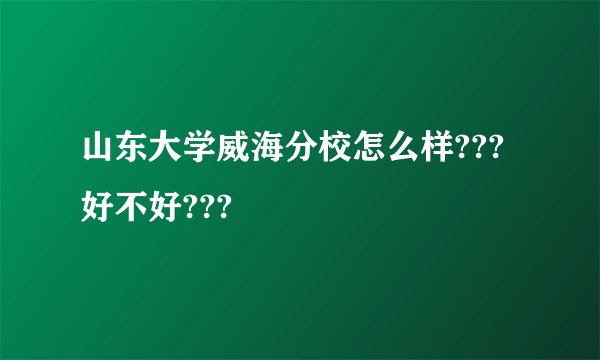 山东大学威海分校怎么样???好不好???