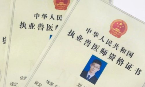 职业兽医师资格证考什么