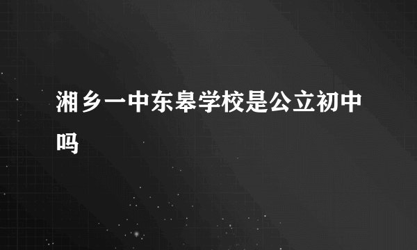 湘乡一中东皋学校是公立初中吗
