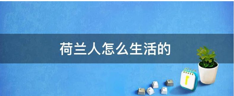 荷兰人怎么生活的