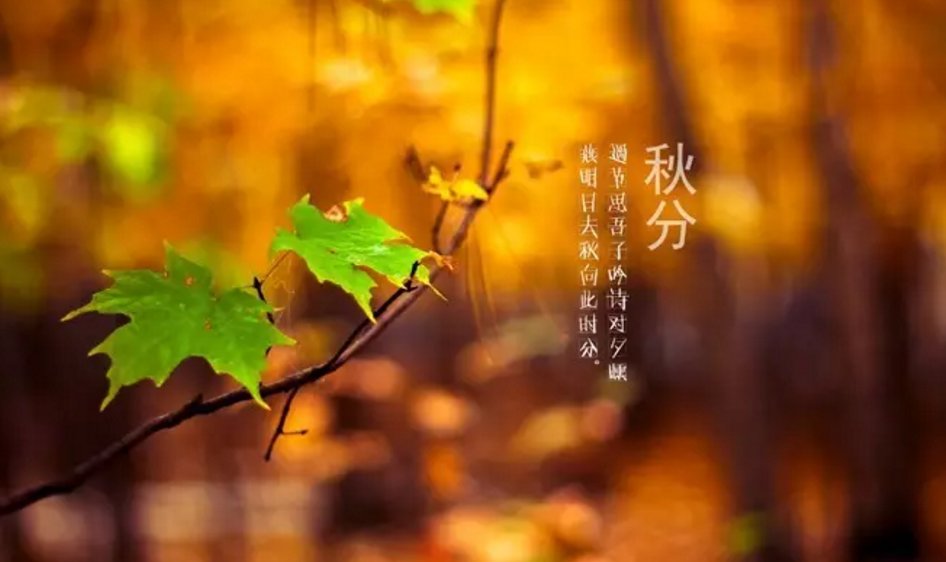 今年将迎124年以来最早秋分，秋分节气的由来是什么？