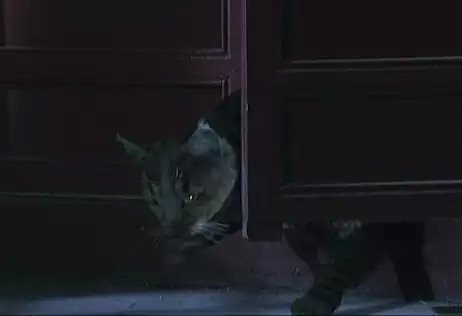 你发现哪些《甄嬛传》里的穿帮镜头?