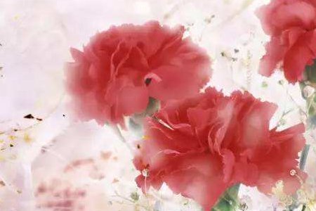 愿一切平安的短句