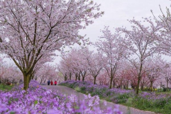 荆门旅游景点介绍