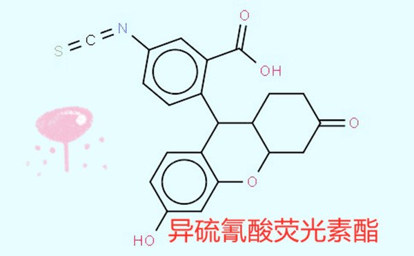 硫氰根和异硫氰根的区别是什么