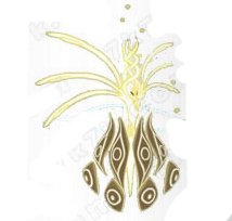 赛尔号圣灵系精灵有哪些