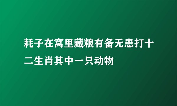 耗子在窝里藏粮有备无患打十二生肖其中一只动物