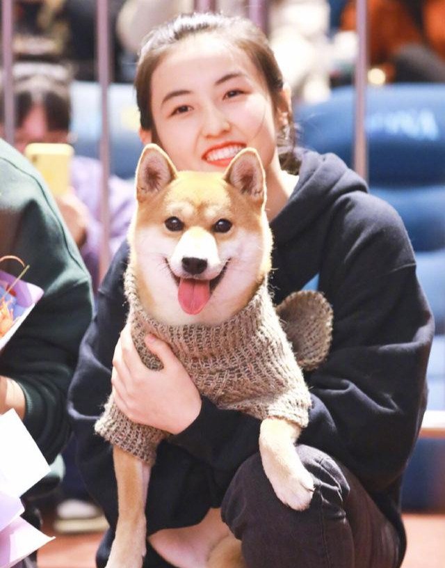 为何张子枫高考专车事件,张子枫自己不回应,反而是记者帮忙澄清?