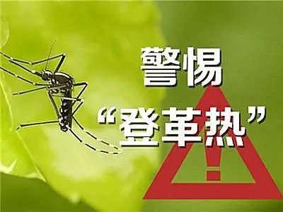台湾地区时隔一年多再现本地登革热病例，这个病是通过什么传播的？