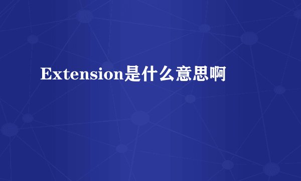 Extension是什么意思啊