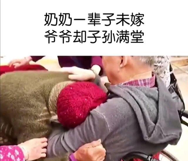 失散54年的恋人完整版在哪里看