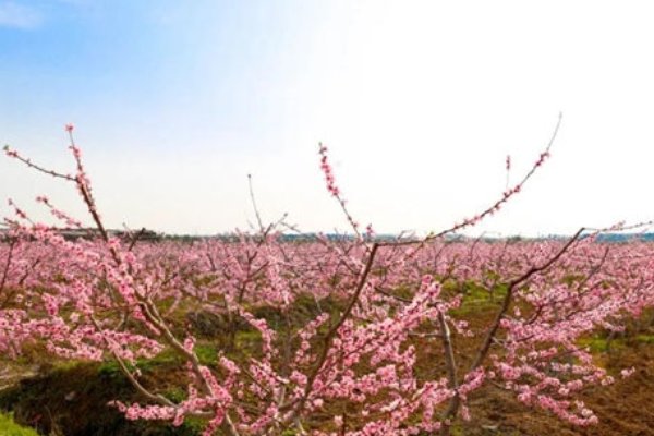 荆门旅游景点介绍