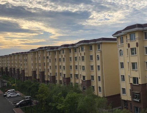 花5万去鹤岗买房的年轻人，现在有后悔吗？