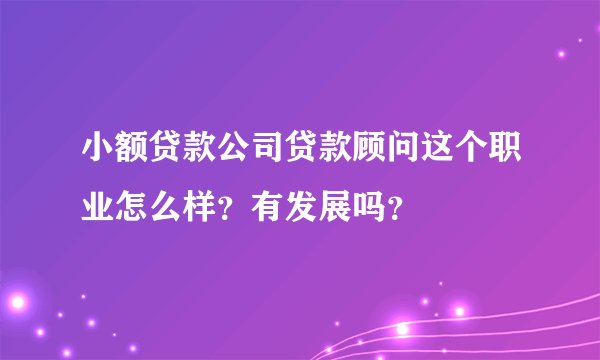小额贷款公司贷款顾问这个职业怎么样？有发展吗？