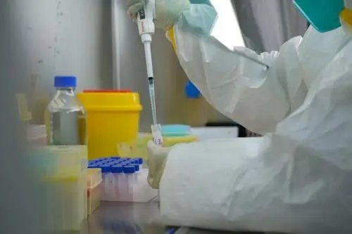 网友排队2小时做核酸,没想到是在买烤鸡,当时的心情是怎样的?