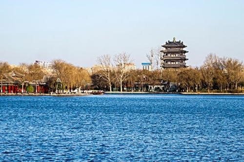 济南的趵突泉里生活着两只斑纹海豹,海豹真的适合在泉水里生存吗?