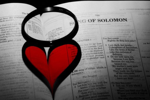 无条件的爱你用英语怎么说？