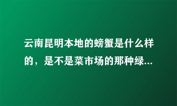 云南昆明本地的螃蟹是什么样的，是不是菜市场的那种绿色螃蟹？