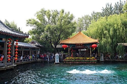 济南的趵突泉里生活着两只斑纹海豹,海豹真的适合在泉水里生存吗?