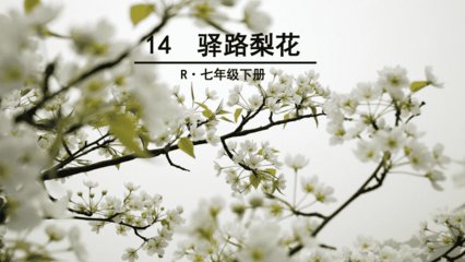 续写驿路梨花姑娘在路边开了一家旅店600字