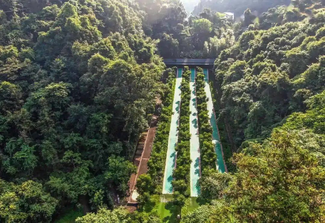 号称闽南“西双版纳”的泉州牛姆林风景区好玩吗？你觉得呢？