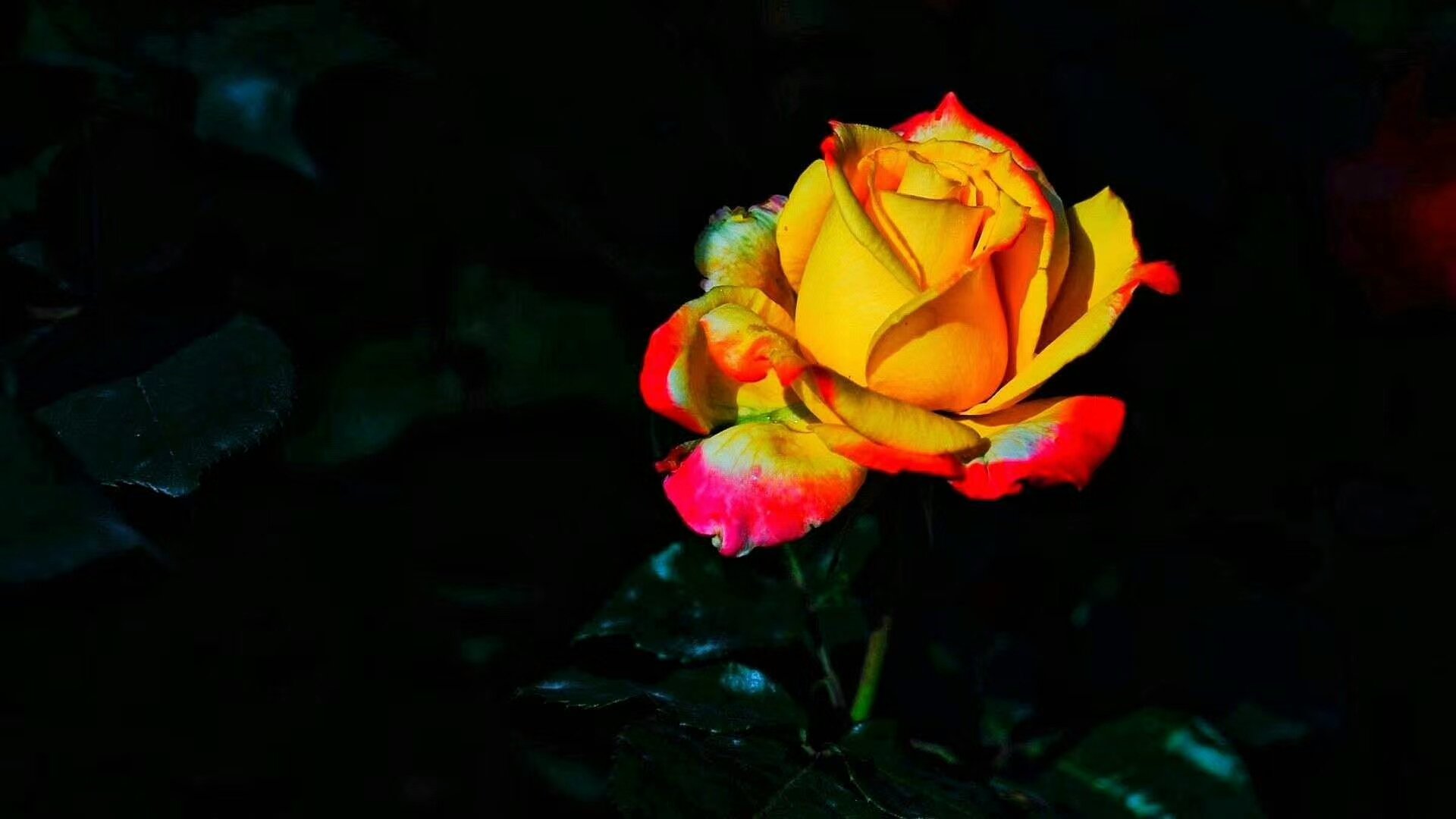 talk about可以加一个that然后再接宾语从句吗？