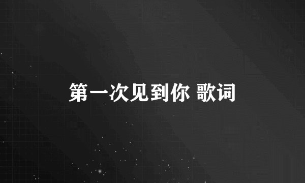 第一次见到你 歌词