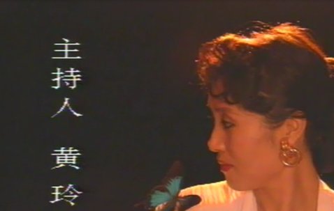 河北电视台老主持人黄灵图片