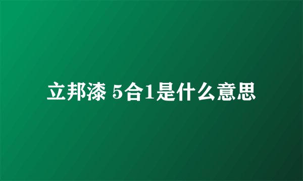 立邦漆 5合1是什么意思