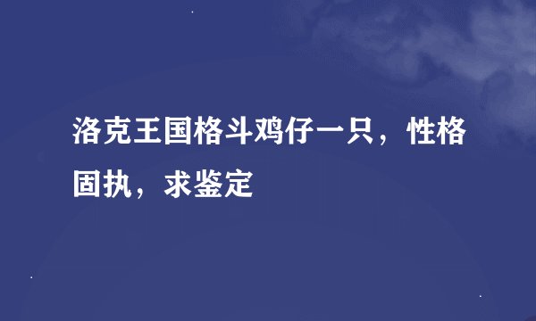 洛克王国格斗鸡仔一只，性格固执，求鉴定
