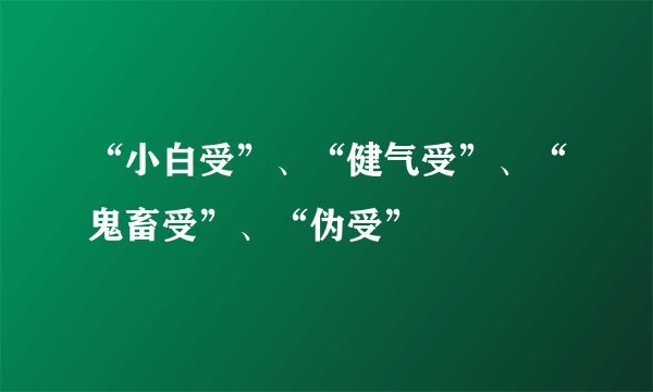 “小白受”、“健气受”、“鬼畜受”、“伪受”