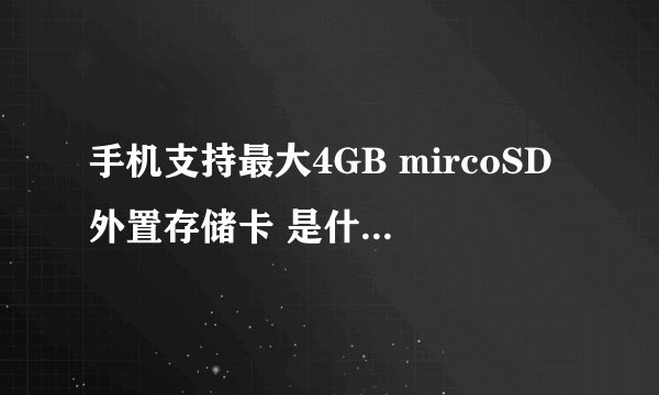 手机支持最大4GB mircoSD外置存储卡 是什么意思 手机是三星L168