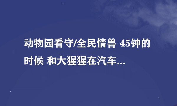 动物园看守/全民情兽 45钟的时候 和大猩猩在汽车里的那段 摇滚歌曲叫什么