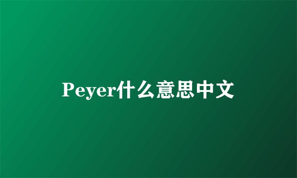 Peyer什么意思中文